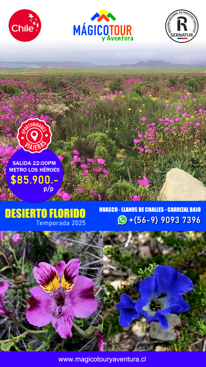 TOUR DESIERTO FLORIDO 2025 - BUS SEMI-CAMA